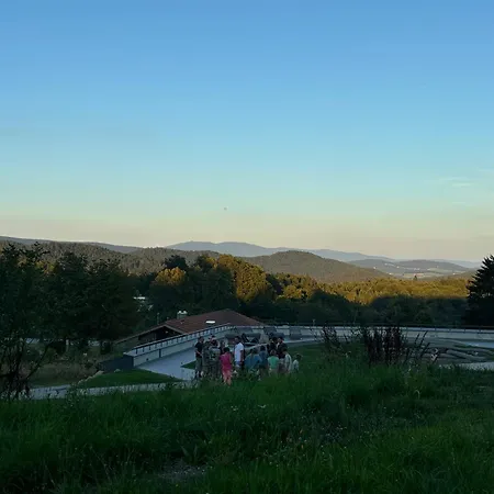 Elas 66 فرايونغ