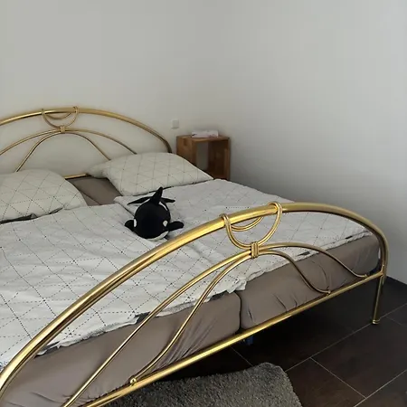 Apartment Elas 66