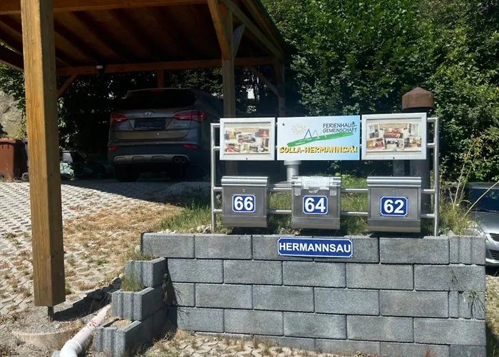 Elas 66 *